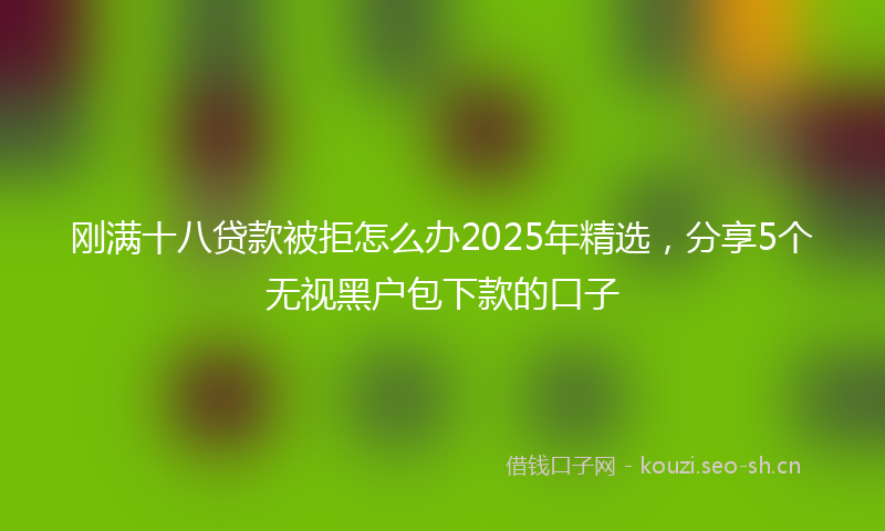 刚满十八贷款被拒怎么办2025年精选，分享5个无视黑户包下款的口子