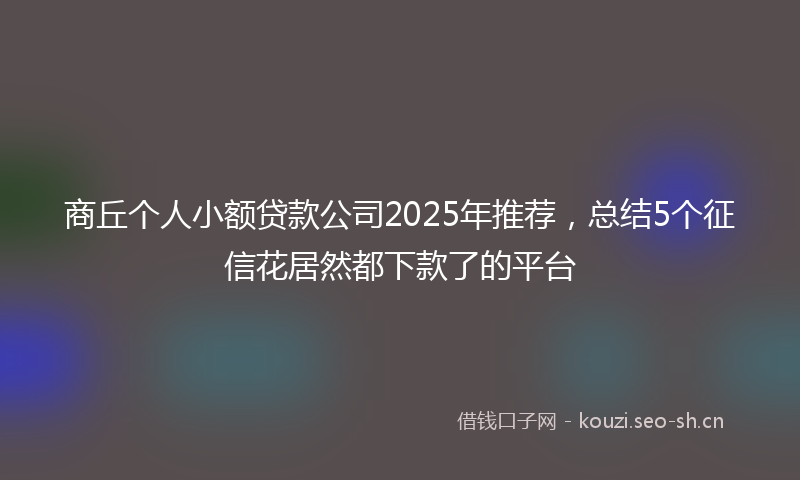 商丘个人小额贷款公司2025年推荐，总结5个征信花居然都下款了的平台