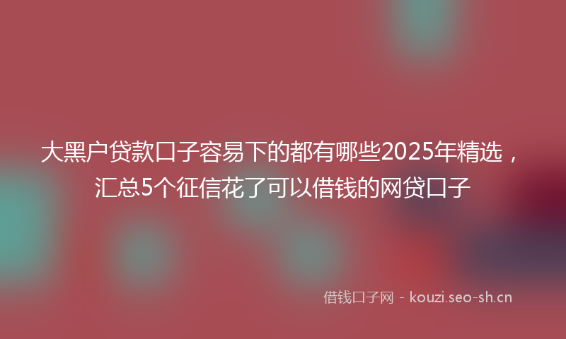 大黑户贷款口子容易下的都有哪些2025年精选，汇总5个征信花了可以借钱的网贷口子