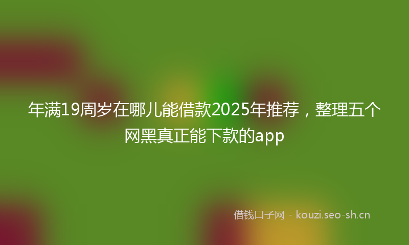 年满19周岁在哪儿能借款2025年推荐，整理五个网黑真正能下款的app