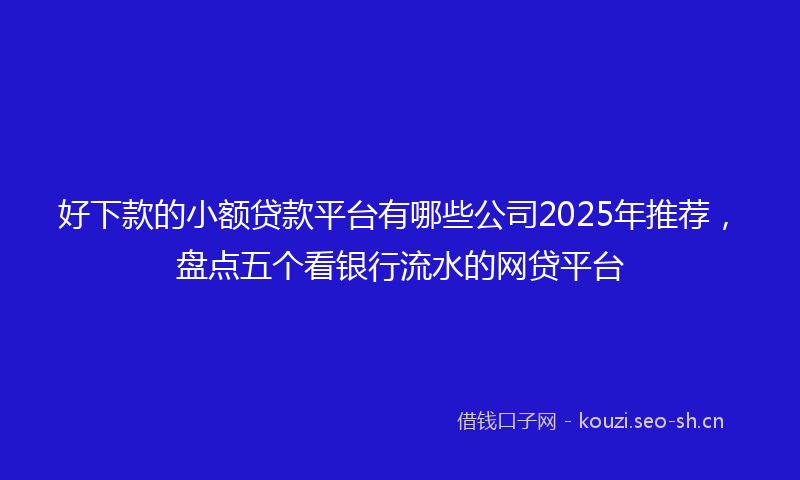 好下款的小额贷款平台有哪些公司2025年推荐，盘点五个看银行流水的网贷平台