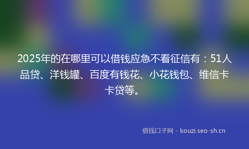 2025年的在哪里可以借钱应急不看征信有：51人品贷、洋钱罐、百度有钱花、小花钱包、维信卡卡贷等。