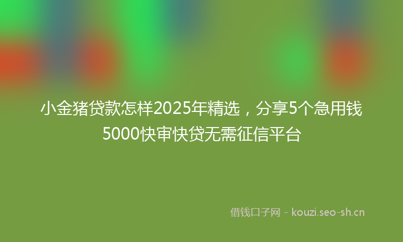 小金猪贷款怎样2025年精选，分享5个急用钱5000快审快贷无需征信平台