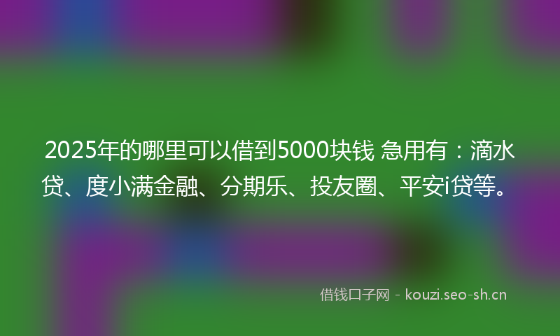 2025年的哪里可以借到5000块钱 急用有：滴水贷、度小满金融、分期乐、投友圈、平安i贷等。