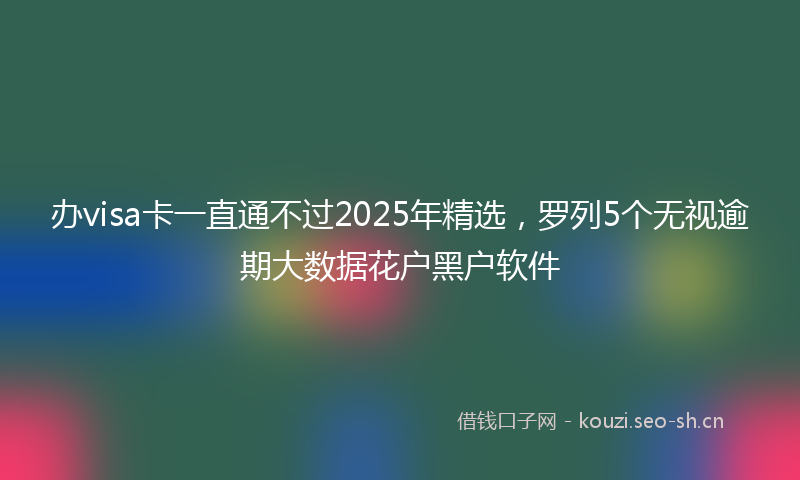 办visa卡一直通不过2025年精选，罗列5个无视逾期大数据花户黑户软件