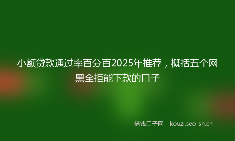 小额贷款通过率百分百2025年推荐，概括五个网黑全拒能下款的口子