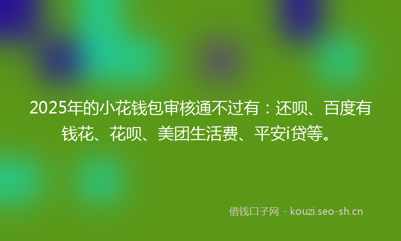 2025年的小花钱包审核通不过有：还呗、百度有钱花、花呗、美团生活费、平安i贷等。