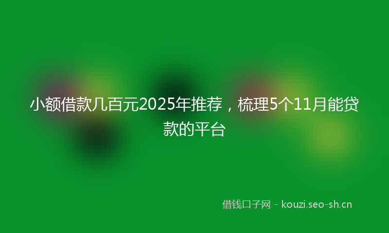 小额借款几百元2025年推荐，梳理5个11月能贷款的平台