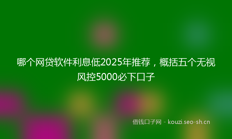 哪个网贷软件利息低2025年推荐,概括五个无视风控5000必下口子