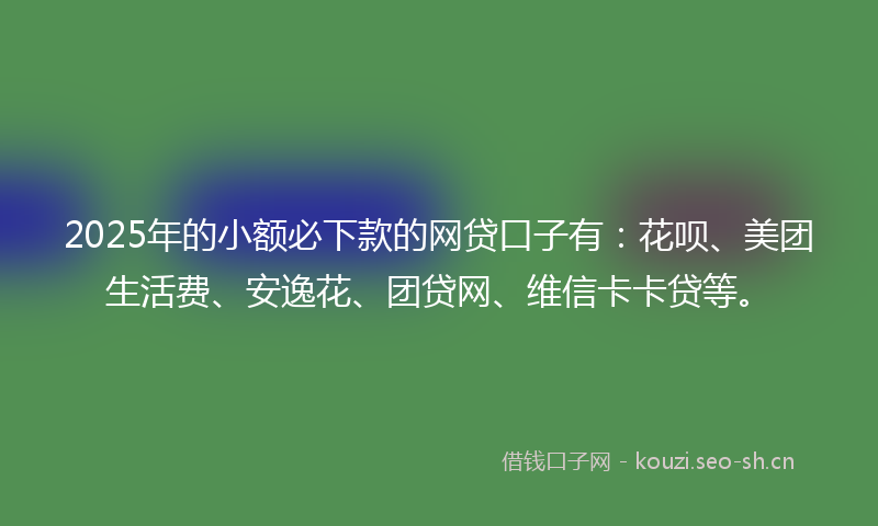 2025年的小额必下款的网贷口子有：花呗、美团生活费、安逸花、团贷网、维信卡卡贷等。