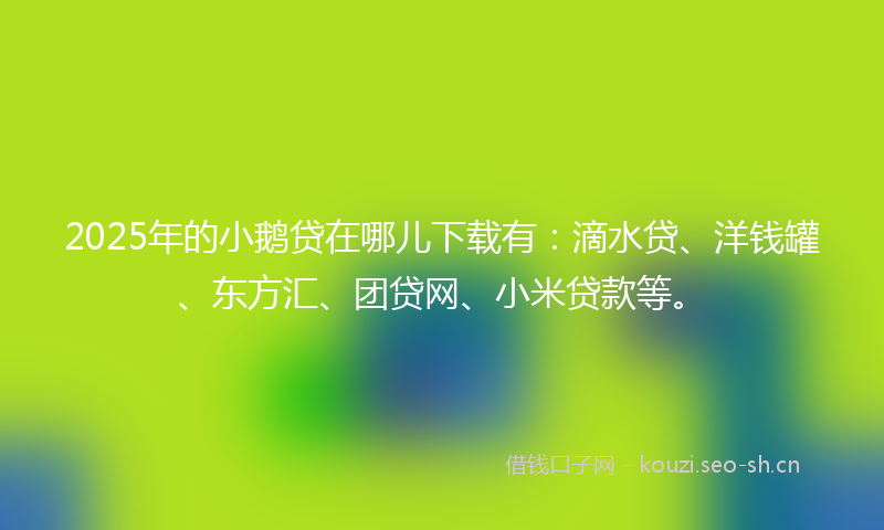2025年的小鹅贷在哪儿下载有：滴水贷、洋钱罐、东方汇、团贷网、小米贷款等。