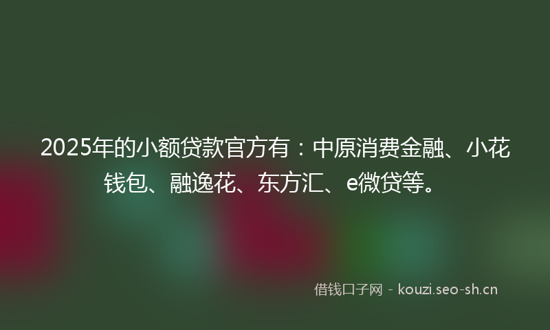 2025年的小额贷款官方有:中原消费金融、小花钱包、融逸花、东方汇、e微贷等。