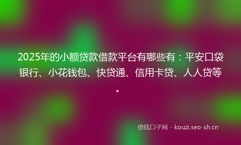 2025年的小额贷款借款平台有哪些有：平安口袋银行、小花钱包、快贷通、信用卡贷、人人贷等。
