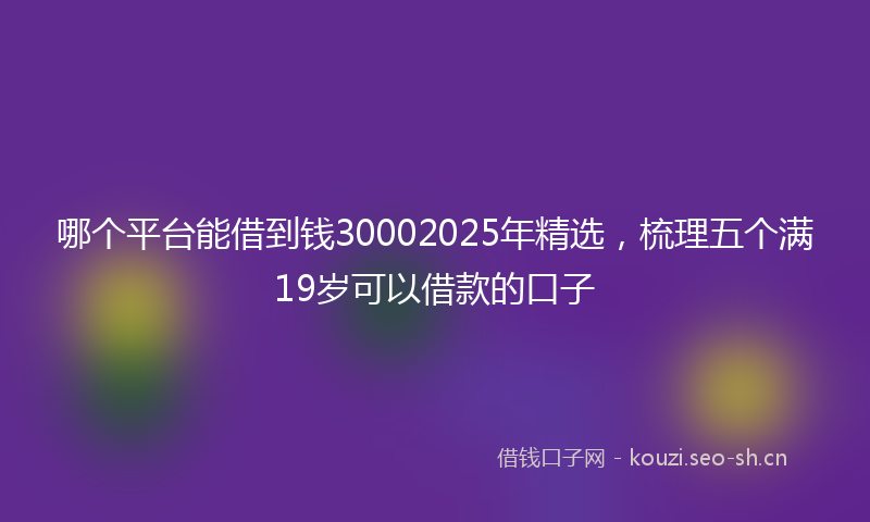 哪个平台能借到钱30002025年精选，梳理五个满19岁可以借款的口子