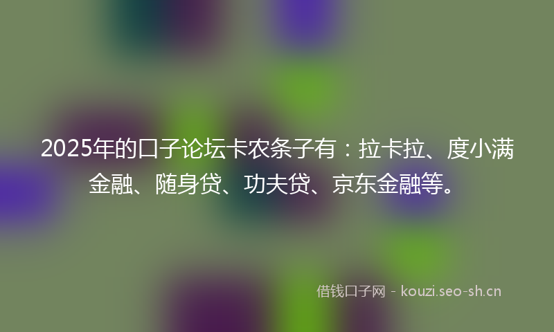 2025年的口子论坛卡农条子有：拉卡拉、度小满金融、随身贷、功夫贷、京东金融等。