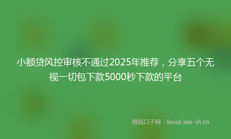 小额贷风控审核不通过2025年推荐，分享五个无视一切包下款5000秒下款的平台