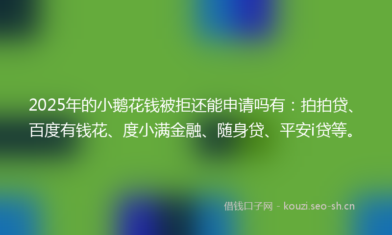 2025年的小鹅花钱被拒还能申请吗有：拍拍贷、百度有钱花、度小满金融、随身贷、平安i贷等。