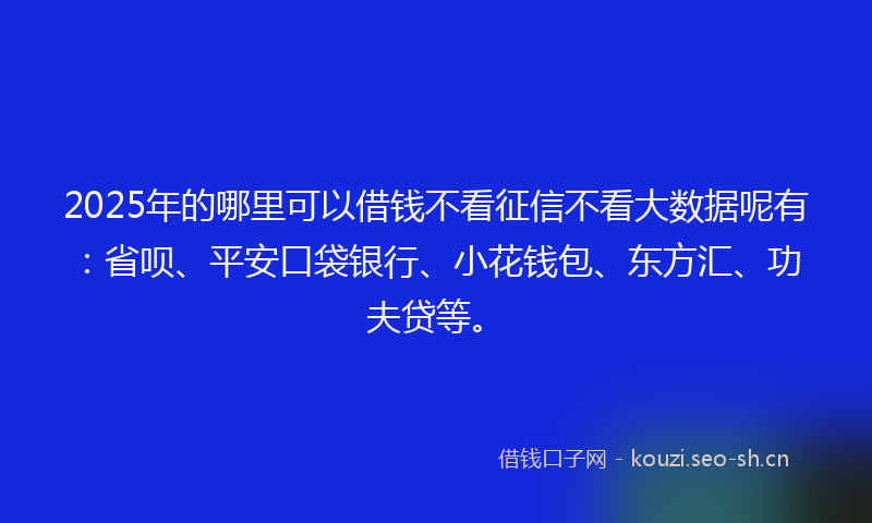 2025年的哪里可以借钱不看征信不看大数据呢有：省呗、平安口袋银行、小花钱包、东方汇、功夫贷等。
