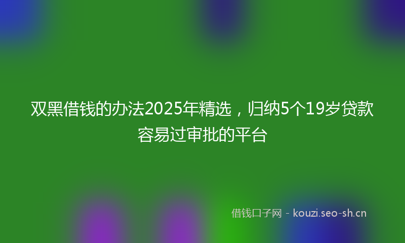 双黑借钱的办法2025年精选，归纳5个19岁贷款容易过审批的平台