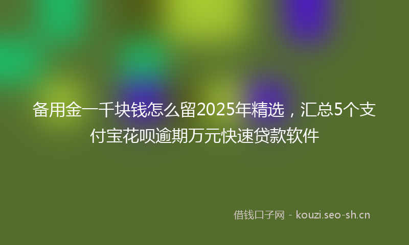 备用金一千块钱怎么留2025年精选，汇总5个支付宝花呗逾期万元快速贷款软件