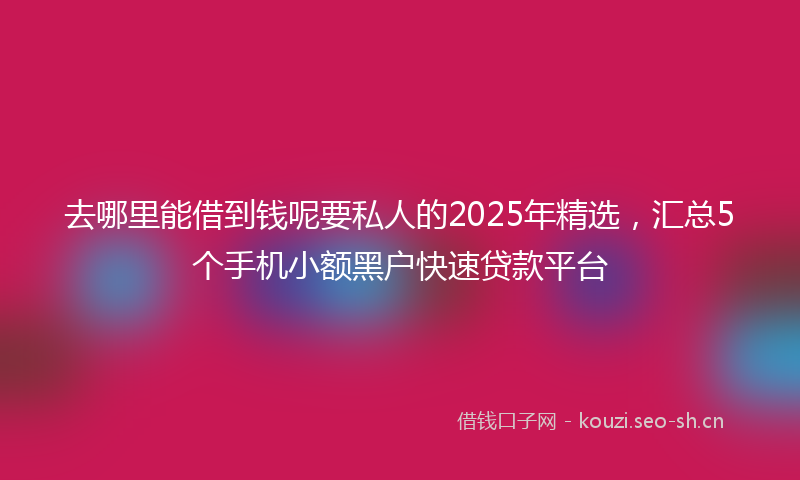 去哪里能借到钱呢要私人的2025年精选，汇总5个手机小额黑户快速贷款平台