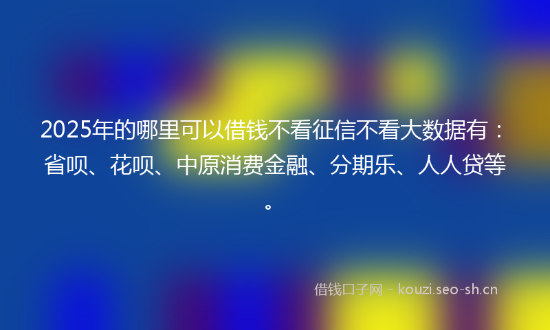 2025年的哪里可以借钱不看征信不看大数据有：省呗、花呗、中原消费金融、分期乐、人人贷等。