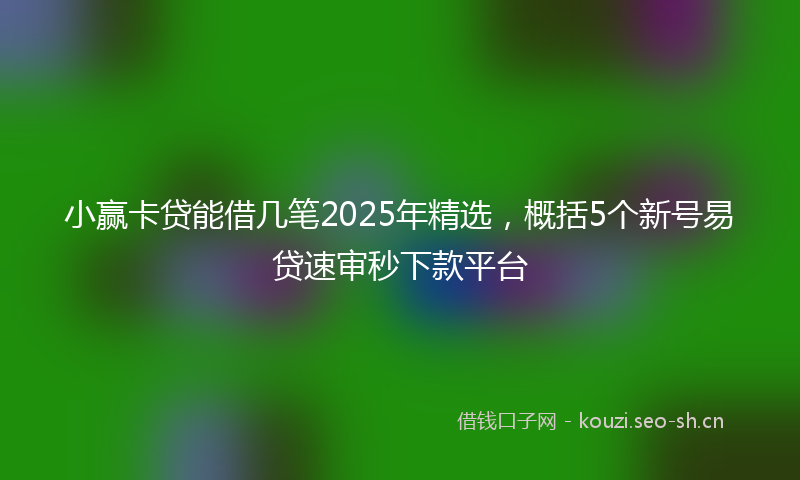 小赢卡贷能借几笔2025年精选，概括5个新号易贷速审秒下款平台