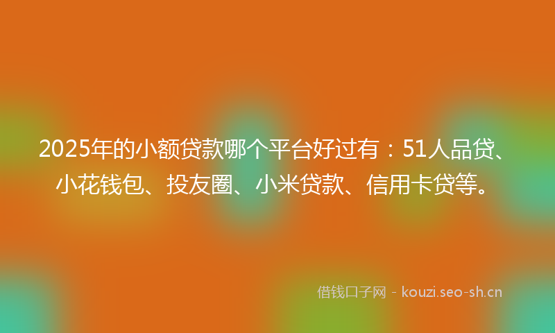 2025年的小额贷款哪个平台好过有：51人品贷、小花钱包、投友圈、小米贷款、信用卡贷等。