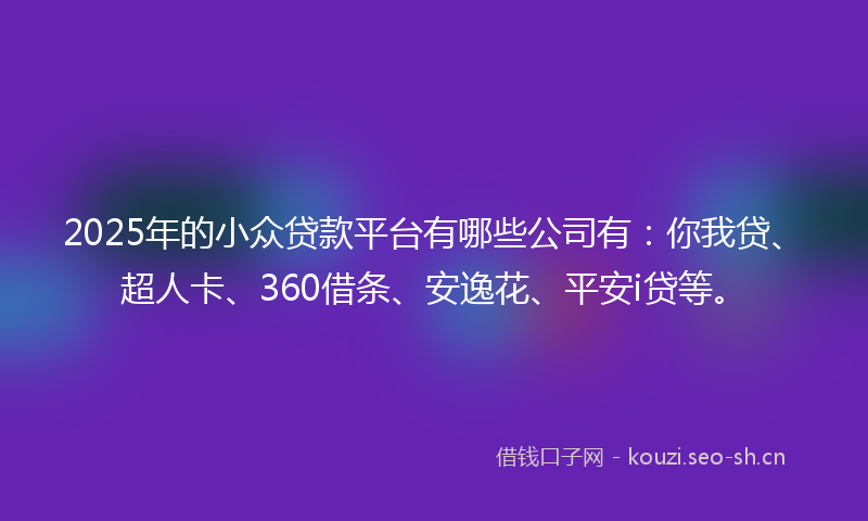 2025年的小众贷款平台有哪些公司有：你我贷、超人卡、360借条、安逸花、平安i贷等。