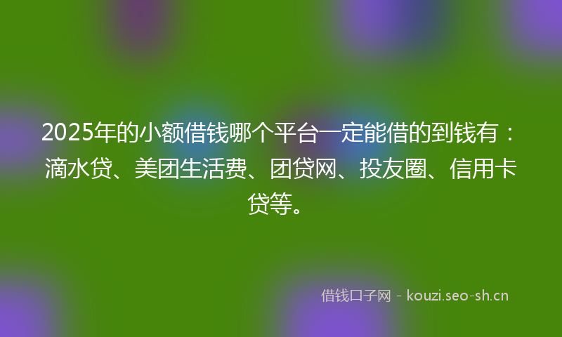 2025年的小额借钱哪个平台一定能借的到钱有：滴水贷、美团生活费、团贷网、投友圈、信用卡贷等。