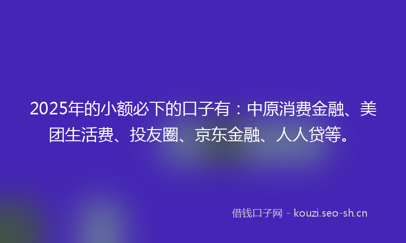 2025年的小额必下的口子有：中原消费金融、美团生活费、投友圈、京东金融、人人贷等。