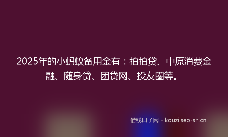 2025年的小蚂蚁备用金有：拍拍贷、中原消费金融、随身贷、团贷网、投友圈等。