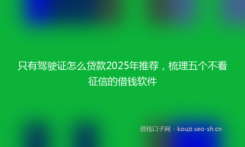 只有驾驶证怎么贷款2025年推荐，梳理五个不看征信的借钱软件