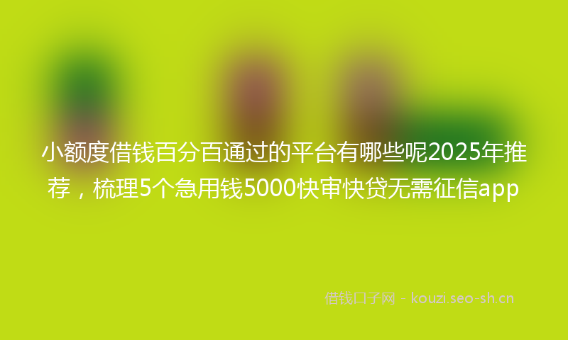 小额度借钱百分百通过的平台有哪些呢2025年推荐,梳理5个急用钱5000快审快贷无需征信app