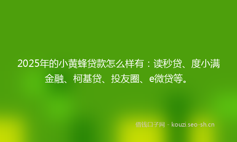 2025年的小黄蜂贷款怎么样有：读秒贷、度小满金融、柯基贷、投友圈、e微贷等。