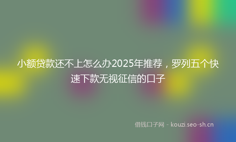 小额贷款还不上怎么办2025年推荐，罗列五个快速下款无视征信的口子