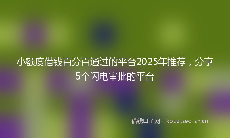 小额度借钱百分百通过的平台2025年推荐,分享5个闪电审批的平台