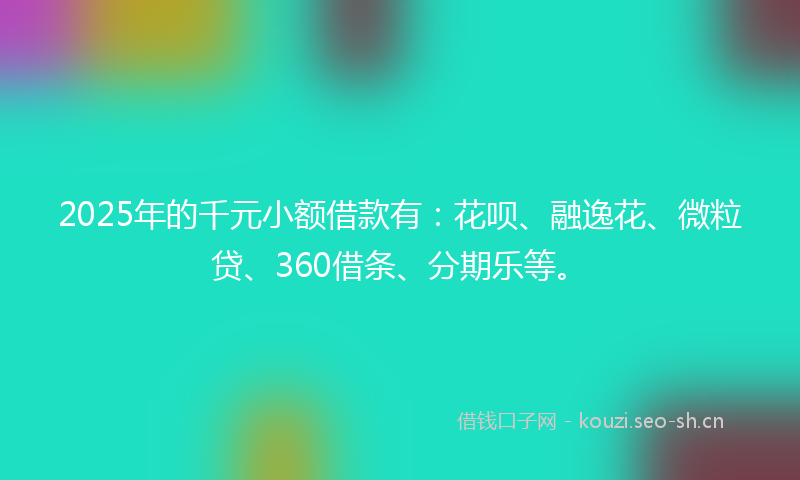2025年的千元小额借款有：花呗、融逸花、微粒贷、360借条、分期乐等。