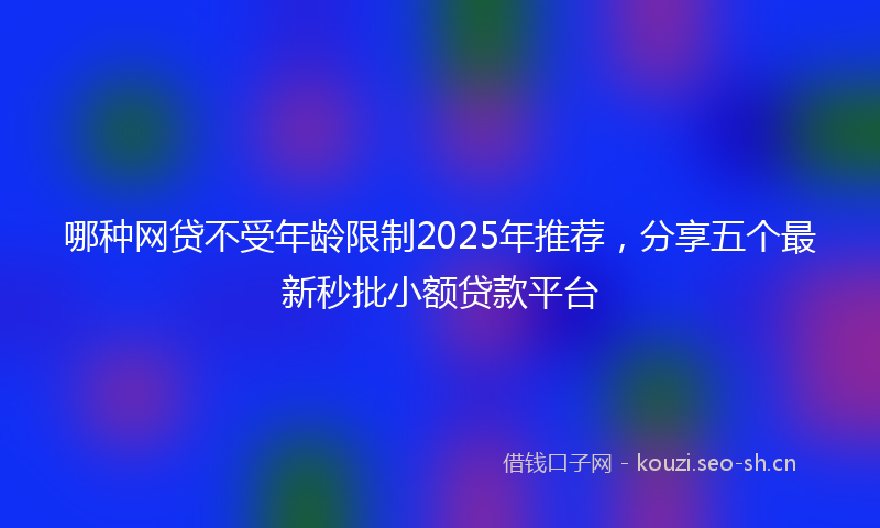 哪种网贷不受年龄限制2025年推荐，分享五个最新秒批小额贷款平台