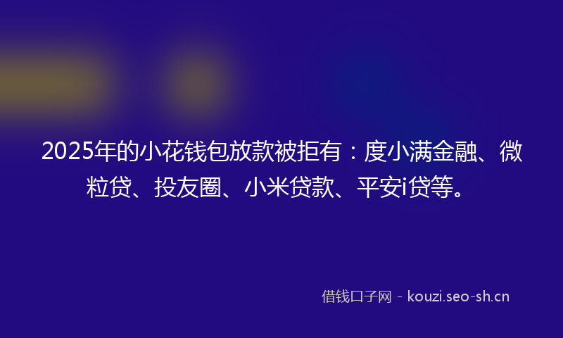 2025年的小花钱包放款被拒有：度小满金融、微粒贷、投友圈、小米贷款、平安i贷等。