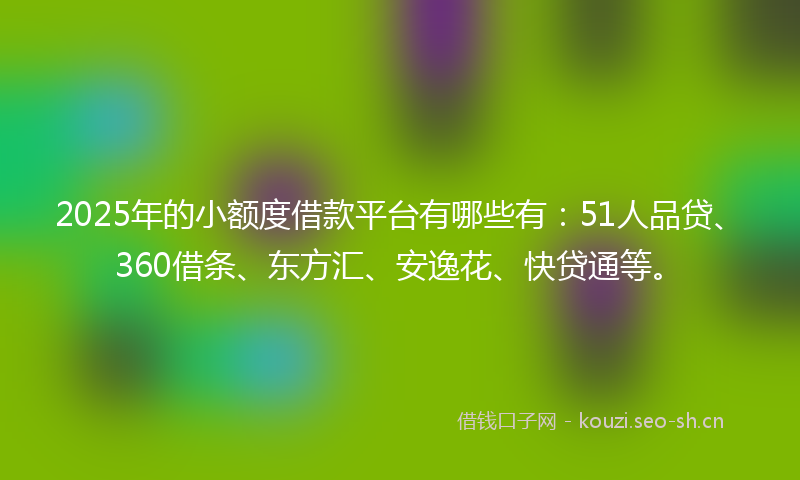 2025年的小额度借款平台有哪些有：51人品贷、360借条、东方汇、安逸花、快贷通等。