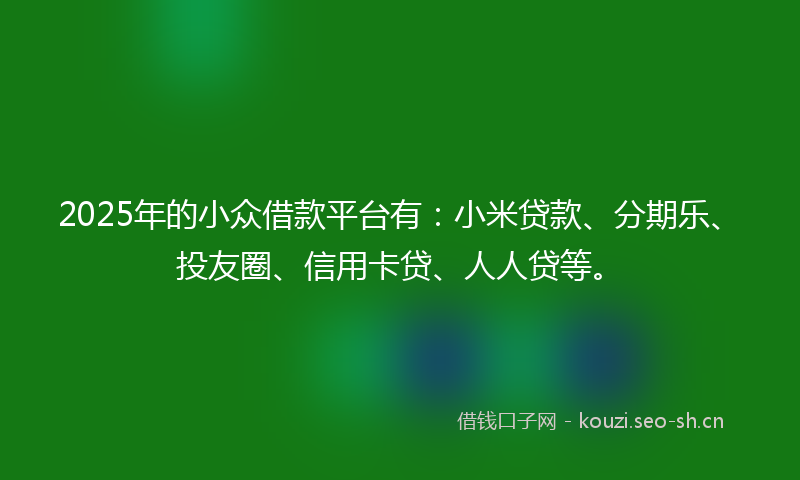 2025年的小众借款平台有：小米贷款、分期乐、投友圈、信用卡贷、人人贷等。