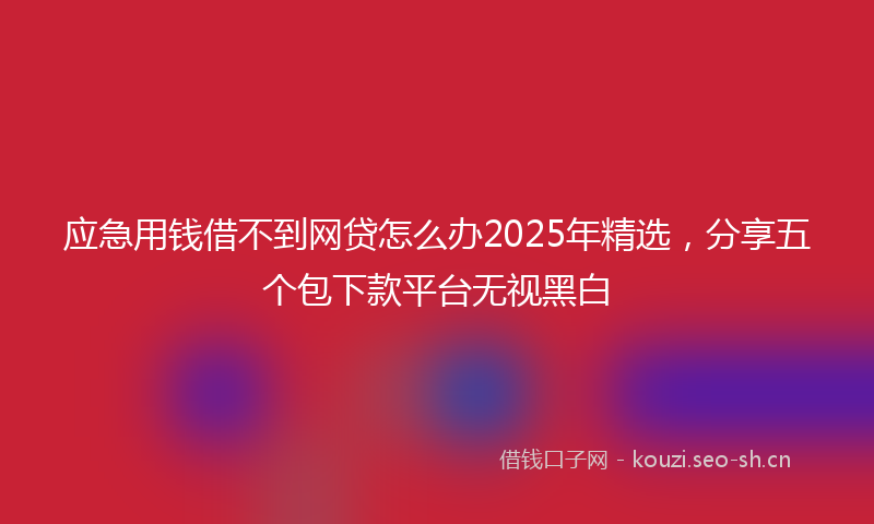 应急用钱借不到网贷怎么办2025年精选，分享五个包下款平台无视黑白