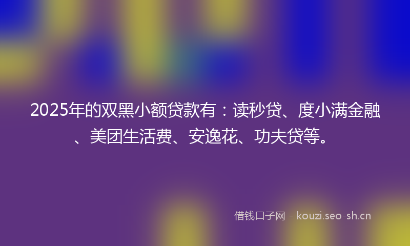 2025年的双黑小额贷款有：读秒贷、度小满金融、美团生活费、安逸花、功夫贷等。