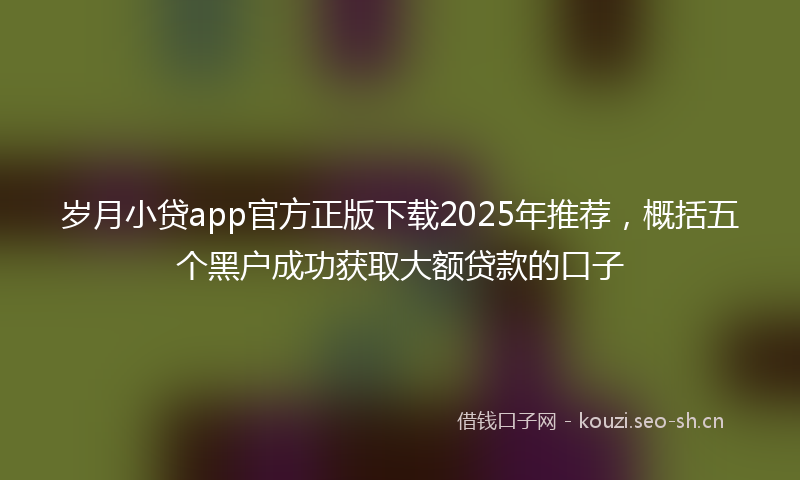岁月小贷app官方正版下载2025年推荐，概括五个黑户成功获取大额贷款的口子
