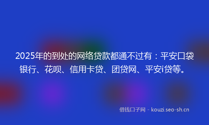 2025年的到处的网络贷款都通不过有：平安口袋银行、花呗、信用卡贷、团贷网、平安i贷等。