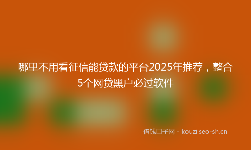 哪里不用看征信能贷款的平台2025年推荐,整合5个网贷黑户必过软件