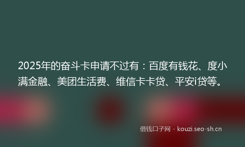 2025年的奋斗卡申请不过有：百度有钱花、度小满金融、美团生活费、维信卡卡贷、平安i贷等。