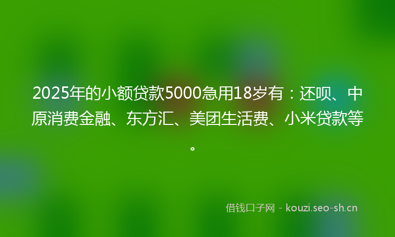 2025年的小额贷款5000急用18岁有：还呗、中原消费金融、东方汇、美团生活费、小米贷款等。