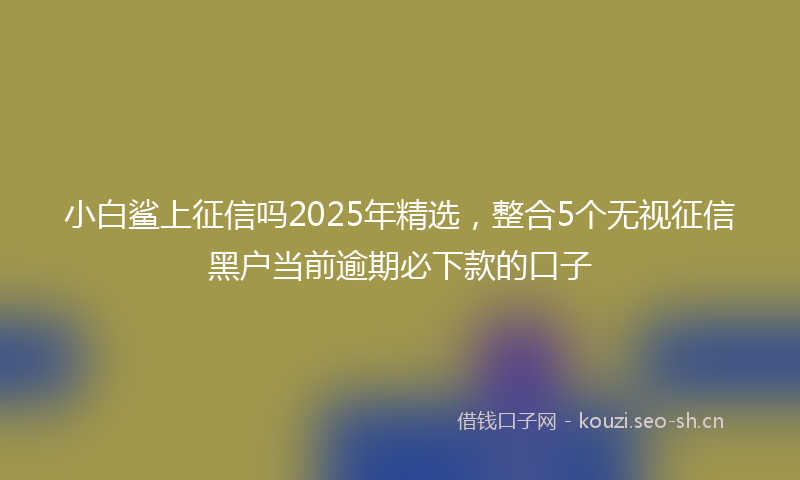 小白鲨上征信吗2025年精选，整合5个无视征信黑户当前逾期必下款的口子